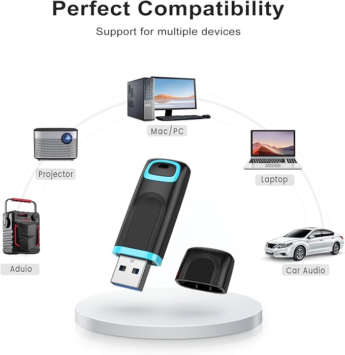 RAOYI 2 Pack 64GB USB 3.0 Flash Drive Thumb Drive High Speed Memory Stick Jump Drive Portable Zip Drive for PC Laptop