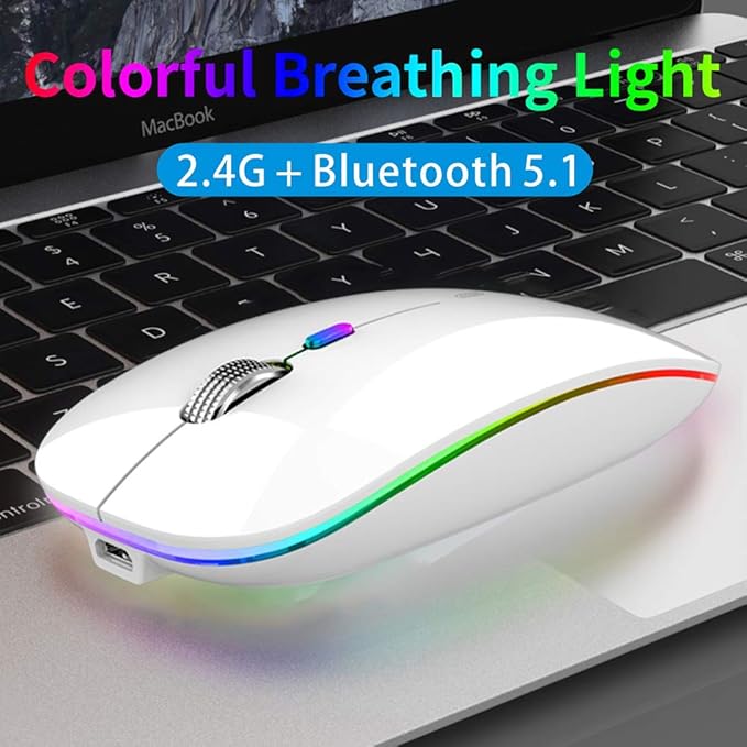 TENMOS Wireless Bluetooth Mouse, LED Slim (Bluetooth 5.1 + USB) 2.4GHz Rechargeable Silent Bluetooth Wireless Mouse with Type C Adapter for Laptop/MacBook/iPad OS 13 and Above (White)