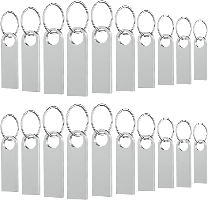 20 Pack 1GB USB Flash Drive with Keychains, Wooolken Sleek Metal USB 2.0 Thumb Drives Memory Stick for PC Laptop Computer(Sliver)