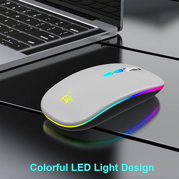 HOTLIFE LED Wireless Mouse, Slim Rechargeable Bluetooth Mouse, 2.4G Portable USB Optical Wireless Computer Mice with USB Receiver and Type C Adapter (Grey)