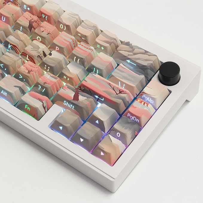 Tsungup Custom Keycaps 60 75 Percent,Pastel Side Print 135 Keys PBT Cherry Profile Shine Through Keycap Set, Dye-sub Key Caps Keyboard Keycaps for Mechanical Keyboards