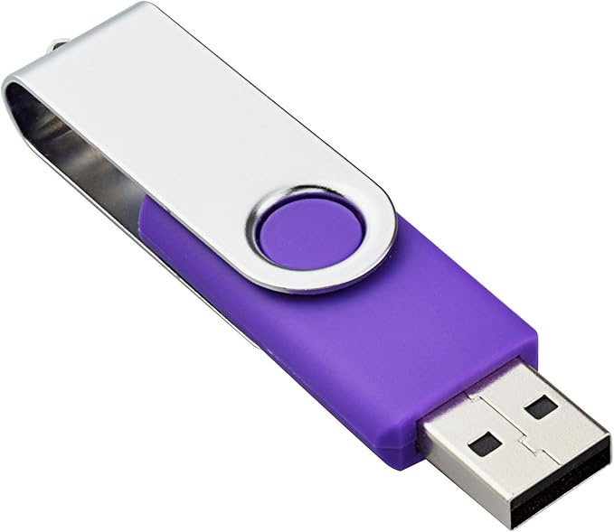 KOOTION 10PCS 4GB USB 2.0 Flash Drive 10 Pack USB Flash Drive Memory Stick Thumb Drive Flash Drives Purple