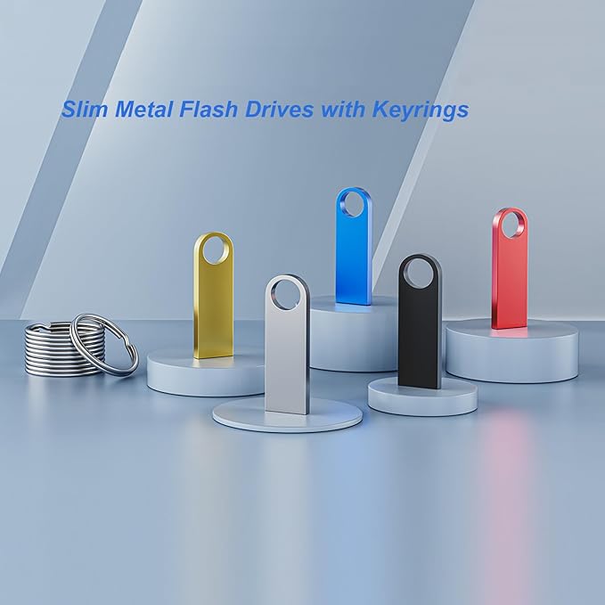 20 Pack 4GB USB Flash Drive with Keychains, Wooolken Sleek Metal USB 2.0 Thumb Drives Memory Stick for PC Laptop Computer(Sliver)