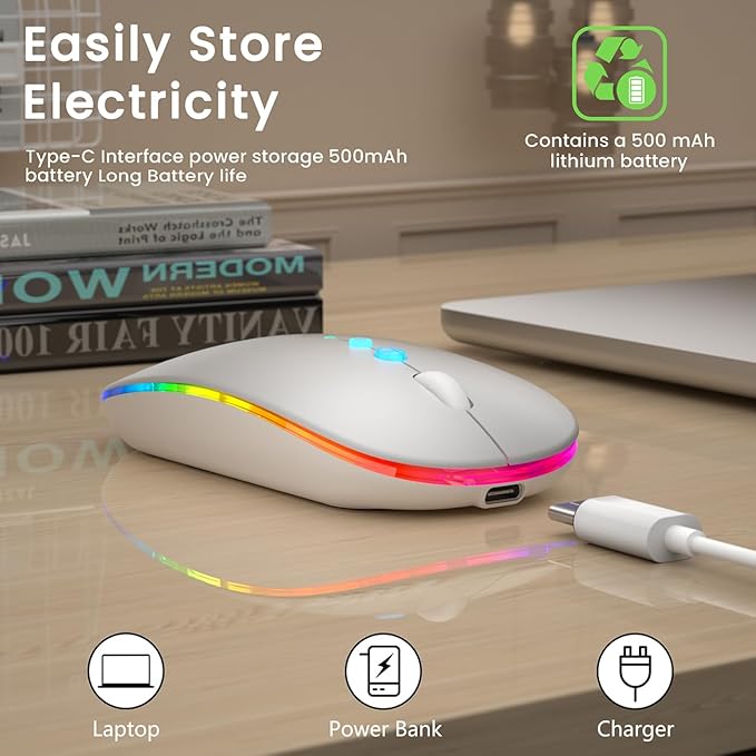 Halpilt LED Wireless Mouse A100S Rechargeable Portable Silent Mouse with Optional USB and Type-C Receiver 3-Speed Adjustable DPI for PC/Mac/Laptop (Frosted Silver)