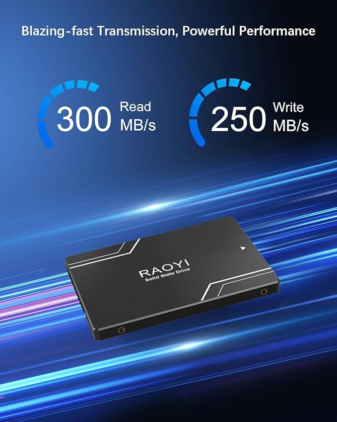 RAOYI 64GB Internal SSD SATA III 2.5” Solid State Drive 3D NAND Flash Advanced SSD Hard Drive Up to 300MB/s SATA 3 SSD Upgrade Performance for PC Laptop