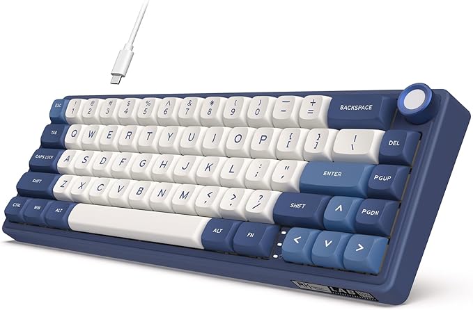 RK ROYAL KLUDGE R65 Wired Gaming Keyboard with Volume Knob, 60% Percent RGB Backlit Mechanical Keyboard Gasket Mount with PBT Keycaps, MDA Profile, QMK/VIA, 66 Keys Hot Swappable Cream Switch, Blue