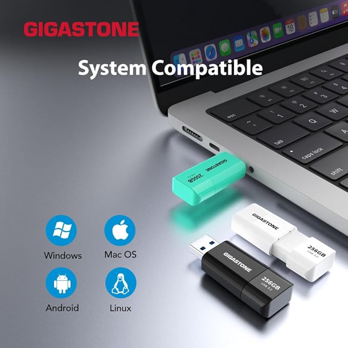 GIGASTONE 512GB Flash Drive, Z60 USB 3.0, 120MB/s Ultra Fast, Retractable Capless Slider Design, Data Storage, Backup for PC/Mac/TV/Car Audio, USB 2.0/3.0/3.1 Compatible