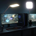 NEEWER Basics 10.8" Video Conference Lighting with Desk Clamp Stand, 15W Bi Color Edge Lit Full Screen Dimmable Streaming Light CRI95+ for Video Recording Computer Laptop Webcam Zoom Calls, L220