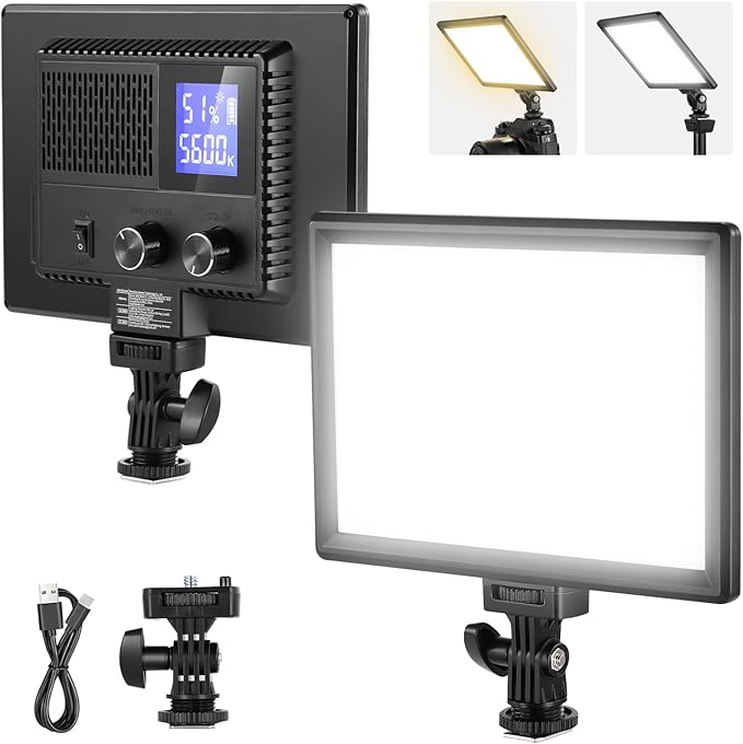 Neewer 9" LED Video Light Panel, Dimmable DSLR Camera Soft Lighting, 4000mAh Rechargeable Battery, USB Type C Ports, 3200K~5600K CRI95+ 600Lux for Photography Video Recording Live Streaming, NL-116AI