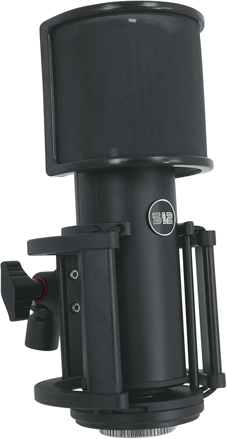 512 Audio by Warm Audio Skylight Large Diaphragm Studio Condenser XLR Microphone + Shock Mount + Bag for Recording and Podcasting