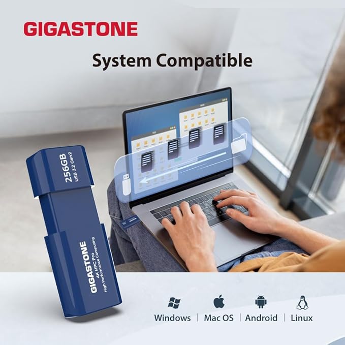 GIGASTONE Z80 256GB high Speed 1000MB/s, USB 3.2 Gen2 Solid State Drive, Capless Retractable Design Pen Drive, Carbon Fiber Style, Reliable & Durable, USB 2.0 / USB 3.0 / USB 3.1 Interface Compatible