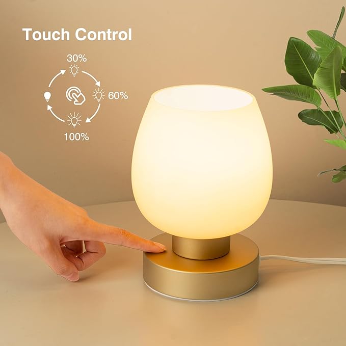 Touch Bedside Table Lamp - Desert Titanium Color Glass Lamp Shade, Warm LED Bulb, 3 Way Dimmable, Simple Design