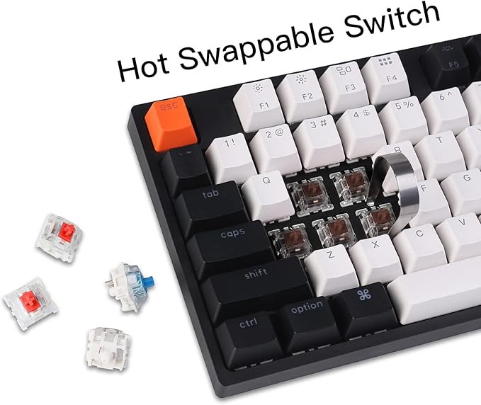 Keychron C2 Full Size Wired Mechanical Keyboard for Mac, Hot-swappable, Gateron G Pro Brown Switch, RGB Backlight, 104 Keys ABS keycaps Gaming Keyboard for Windows, USB-C Type-C Braid Cable
