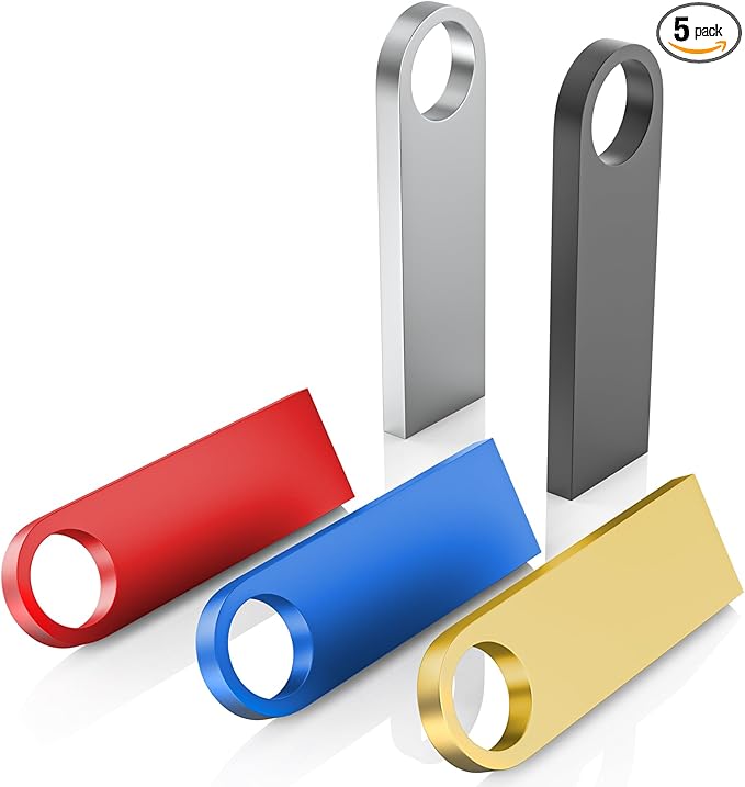 5 Pack 64GB USB Flash Drive with Keychains, Wooolken Sleek Metal USB 2.0 Thumb Drives Memory Stick for PC Laptop Computer