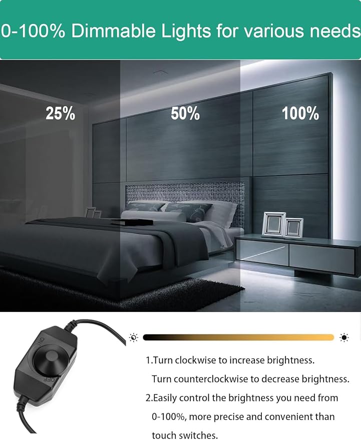 Neon Rope Lights, 32.8ft Cool White Dimmable LED Rope Lights, Cuttable Waterproof Flexible DIY LED Strip Lights for Bedroom, Indoor, Outdoor Decoration (Power Adapter Included)