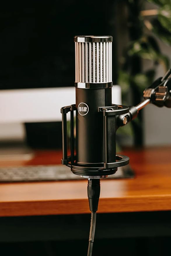 512 Audio by Warm Audio Skylight Large Diaphragm Studio Condenser XLR Microphone + Shock Mount + Bag for Recording and Podcasting
