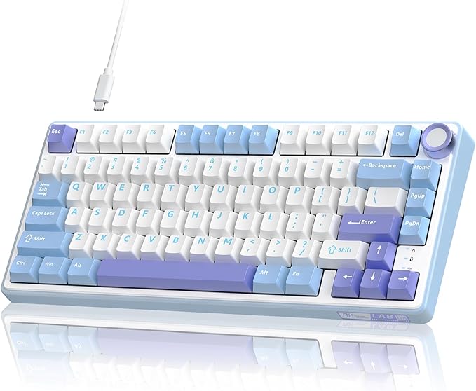 RK ROYAL KLUDGE R75 Mechanical Keyboard Wired with Volume Knob, 75% Custom Gaming Keyboard Gasket Mount RGB Backlit with Software, Cherry Profile, Hot Swappable Silver Switch, PBT Keycaps