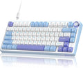 RK ROYAL KLUDGE R75 Mechanical Keyboard Wired with Volume Knob, 75% Custom Gaming Keyboard Gasket Mount RGB Backlit with Software, Cherry Profile, Hot Swappable Silver Switch, PBT Keycaps