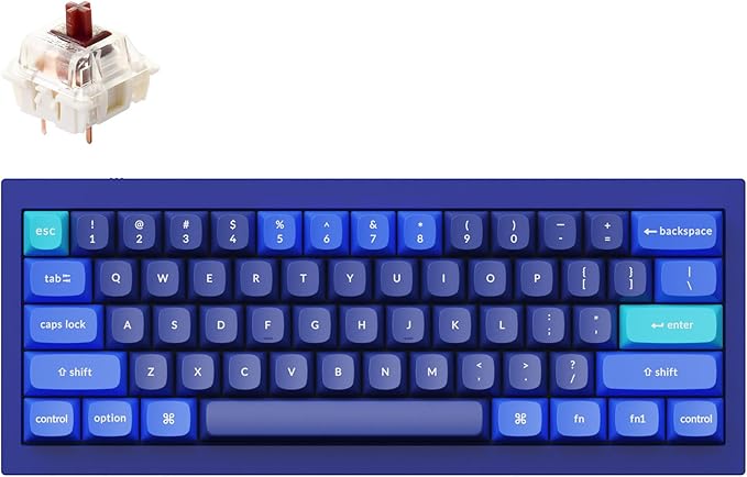 Keychron Q4 Wired Custom Mechanical Keyboard, QMK/VIA Programmable Macro, Full Aluminum, Hot-Swappable Gateron G Pro Brown Switch, 60% Layout Double Gasket Compatible with Mac and Windows - Blue