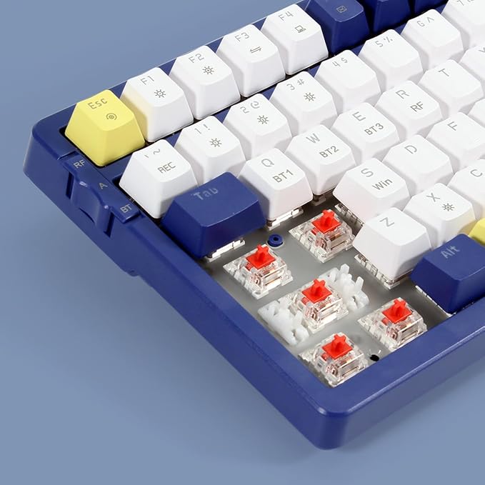 Merdia Wireless Mechanical Keyboard, Triple Mode 2.4G/USB-C/BT Gaming Keyboards 100 Keys Ice-Blue Backlit, Red Switch Keyboard | Rechargeable Mechanical Gaming Keyboards | Blue/White/Yellow