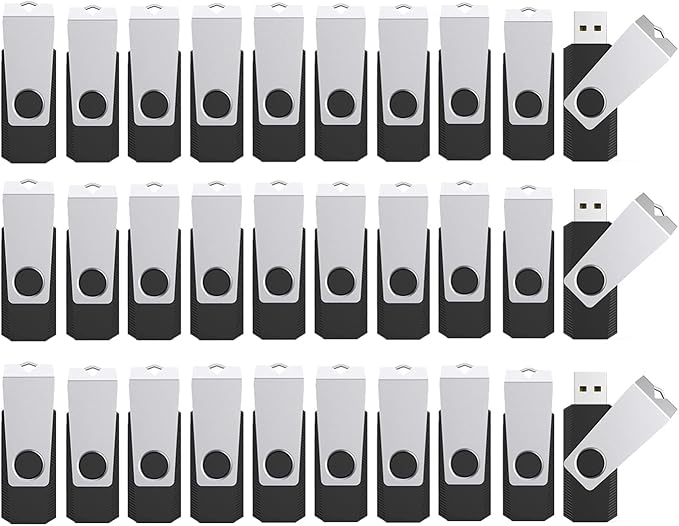 2GB Flash Drives 100 Pack, Wooolken USB 2.0 Thumb Drive with Lanyards Bulk USB Sticks for Weddings,Office, School, Data Storage Backup