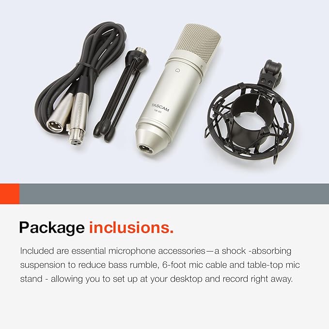 Tascam TM-80 Large Diaphagm Condenser Microphone,Silver