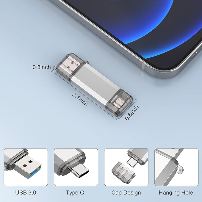 RAOYI 32GB USB C Flash Drive, 2 in 1 USB 3.0 Type C Dual OTG Metal Thumb Drive Jump Drive Memory Stick with Keychain Suitable for USB-C Smartphones, MacBook, Computers and Tablets (Silver)