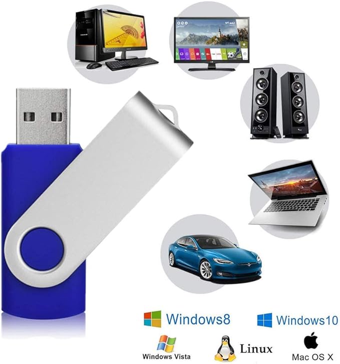 Aiibe 10 Pack 64GB USB Flash Drive 64 GB Flash Drive 64G USB 2.0 Memory Stick Thumb Drive Data Storage Jump Drives 64GB Zip Drives Wholesale/Lot/Bulk (Blue)