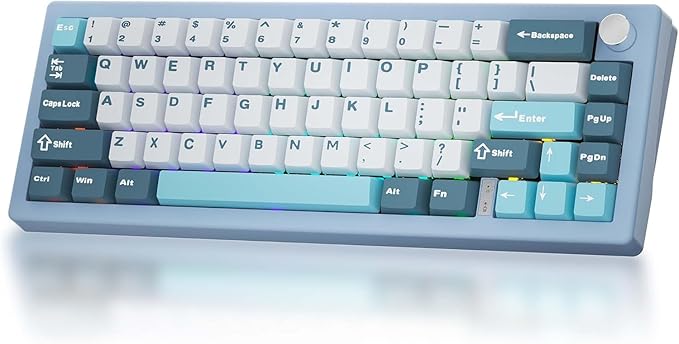 BOYI GMK67 65% Mechanical Keyboard,Hot-Swappable Bluetooth5.0/2.4G/Type-C Tri-Mode Wireless RGB Gasket Mounted Customized South-Facing LED Gaming Keyboard(Blue)