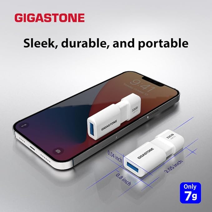 GIGASTONE 512GB Flash Drive, Z60 USB 3.0, 120MB/s Ultra Fast, Retractable Capless Slider Design, Data Storage, Backup for PC/Mac/TV/Car Audio, USB 2.0/3.0/3.1 Compatible