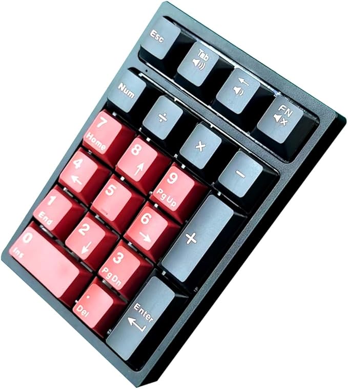 BOYI TD21 Hot Swap Numpad,21 Keys Mini Numpad Portable Keypad Bluetooth5.0/2.4G/Wired Number Pad Keyboard PBT Keycaps RGB Backlit Type-C Mini Keyboard (Black Red Cherry Keycaps)