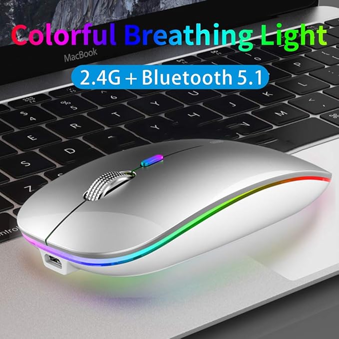 TENMOS Wireless Bluetooth Mouse, LED Slim (Bluetooth 5.1 + USB) 2.4GHz Rechargeable Silent Bluetooth Wireless Mouse with Type C Adapter for Laptop/MacBook/iPad OS 13 and Above (Silver)