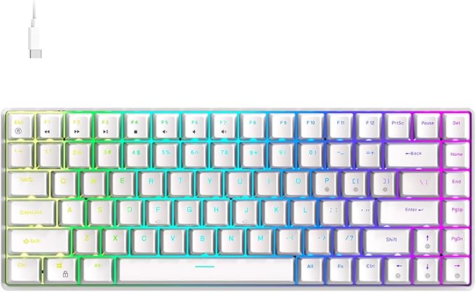 FOXXRAY HKM-S93 Mechanical Gaming Keyboard, Compact 75% Layout Hot-Swappable Gaming Keyboard Blue Switch, RGB Backlit with Customizable Keys, 84-Key Wired Computer Keyboards for Laptop PC Gamer-White