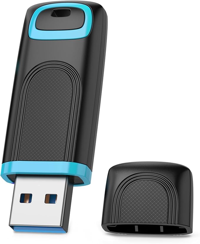 RAOYI 64GB USB 3.0 Flash Drive Thumb Drive High Speed Memory Stick Jump Drive Portable Zip Drive for PC Laptop Backup