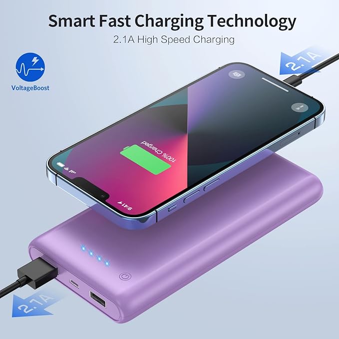 Ekrist Portable Charger Power Bank 25800mAh, Ultra-High Capacity Fast Phone Charging with Intelligent Controlling IC,2 USB Port External Cell Phone Battery Pack Compatible with iPhone,Android-Purple