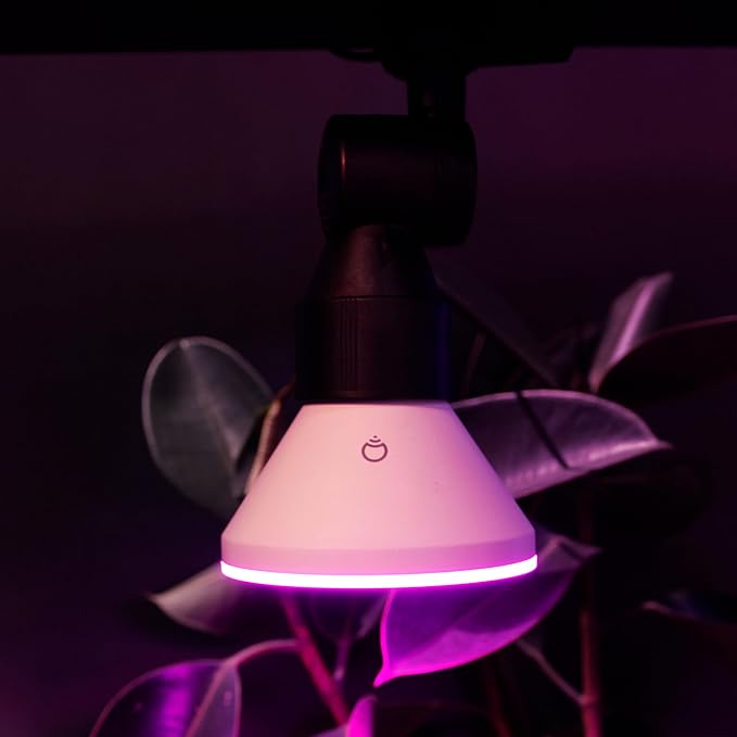 LIFX Smart Flood Light Bulb PAR38 E26 (1 Pack), Color Changing RGB + Warm White 1600 Lumens 150W Equivalent Tunable LED, 90+ CRI, Matter Compatible, Apple HomeKit, Alexa & Google Home Dimmable