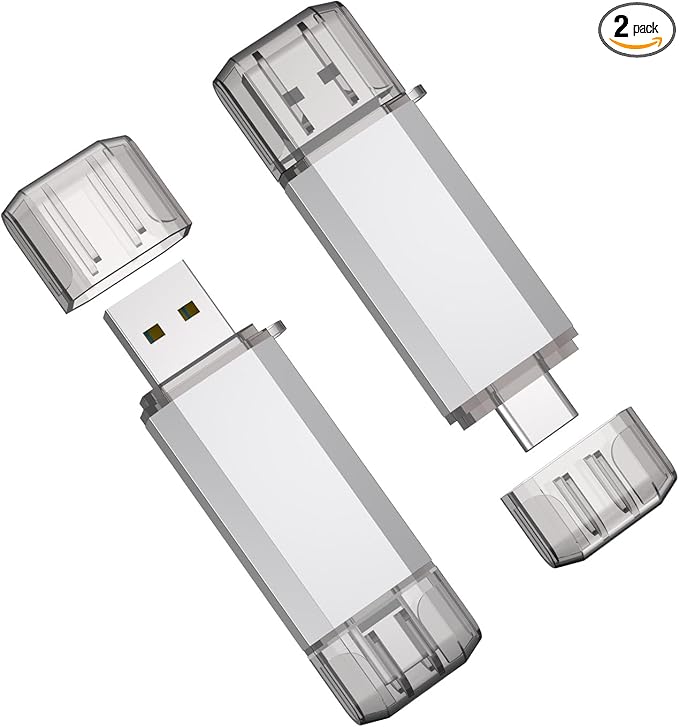 RAOYI 2 Pack 64GB USB C Flash Drive, 2 in 1 USB 3.0 Type C Dual OTG Metal Thumb Drive Jump Drive Memory Stick with Keychain Suitable for USB-C Smartphones, MacBook, Computers and Tablets (Silver)