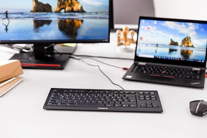 Cherry Stream Keyboard TKL, Wired Keyboard Without Number Pad, Whisper Quiet Keys, Unique Typing Feel, Slim Design, SX Scissor Switches, QWERTY, Black