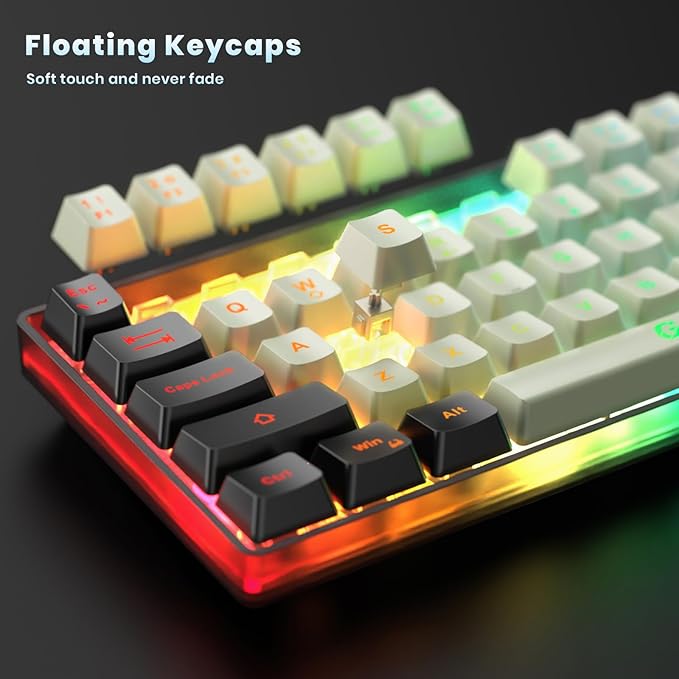 GEODMAER 65% Wireless Gaming Keyboard: LED Backlit, 68 Keys, Ultra-Compact, Anti-ghosting, No-Conflict Wireless Keyboard for PC Laptop Windows Gamer(White-Black)