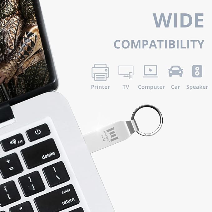 MOSDART Waterproof 64GB USB2.0 Flash Drive, exFAT Metal Memory Stick with Keychain, for System Back, Data Storage, Silver(Pack of 2)