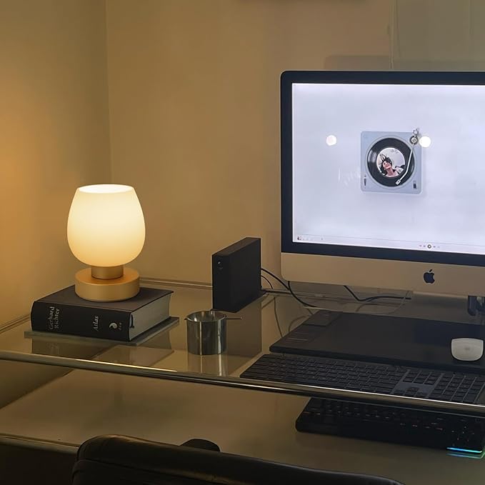 Touch Bedside Table Lamp - Desert Titanium Color Glass Lamp Shade, Warm LED Bulb, 3 Way Dimmable, Simple Design