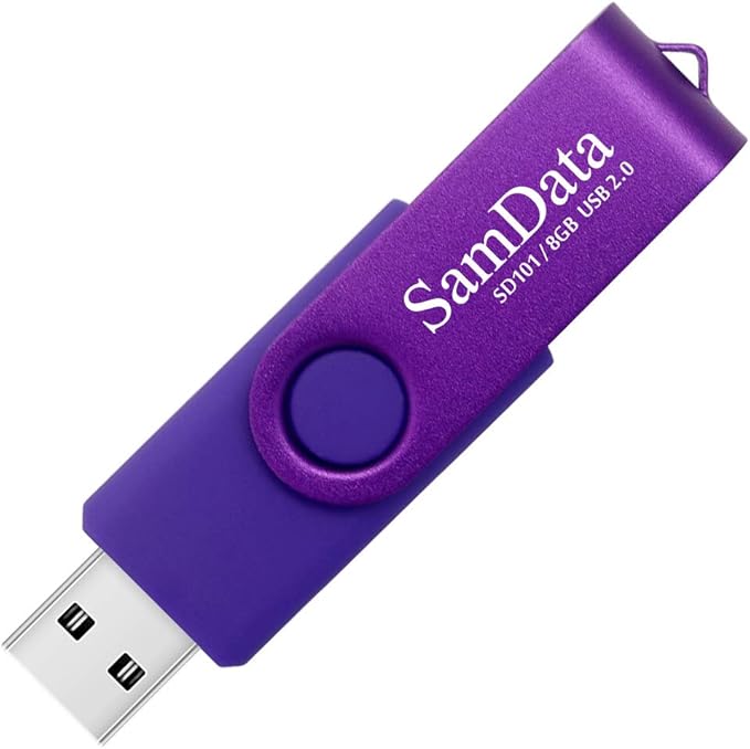 SamData 8GB USB Flash Drives 4 Pack 8GB Thumb Drives Memory Stick Jump Drive with LED Light for Storage and Backup (4 Colors: Black Blue Green Purple)
