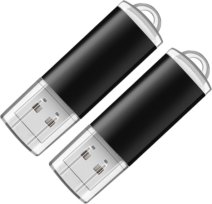 Generic 2-Pack 256GB USB Flash Drive| Ultra-Fast | Plug & Play | for Students, Professionals, Content Creators(2 Pack Plastic USB Black, 256GB)