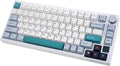 GK GAMAKAY TK75 V2 75% Silent Mechanical Keyboard with TFT Screen, Hot Swap RGB Bluetooth 5.0/2.4GHz Wireless/USB-C Wired PBT Cherry Profile Keycaps Gaming Keyboard (GamaKay Pegasus Switch)