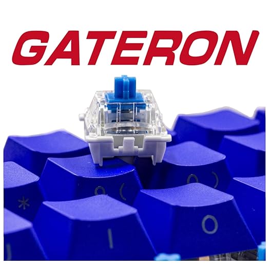 Gateron 70Pcs Pre lubed G pro V3.0 MX Mechanical Gaming Keyboard Split Tactile 60gf Switches,POM Stem Linear RGB SMD Switches 3 pin (Blue)