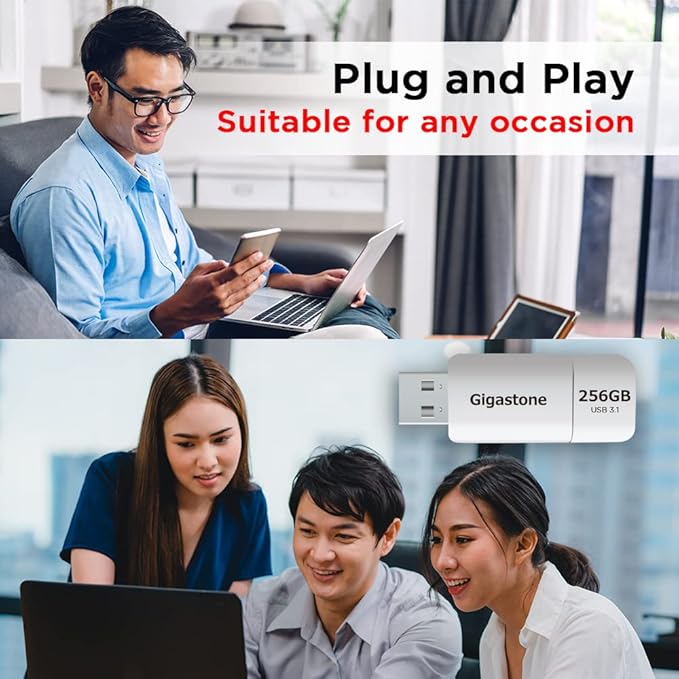 GIGASTONE 256GB Flash Drive, Z60 USB 3.2 Gen 1, 120MB/s Ultra Fast, Retractable Capless Slider Design, Data Storage, Backup for PC/Mac/TV/Car Audio, USB 2.0/3.0/3.1 Compatible