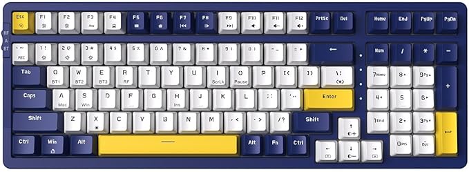 Qisan Wireless/Wired Mechanical Gaming Keyboard, Triple Mode 2.4G/USB-C/BT (98%)Wireless Mechanical Keyboard with US Layout | Red Switch Rechargeable RGB Backlit Keyboards for Gaming,White & Dark Blue