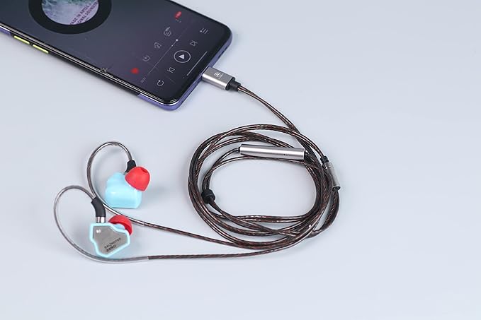 Linsoul 7Hz Salnotes Zero HiFi 10mm Dynamic Driver in-Ear Earphone IEM with Metal Composite Diaphragm Stainless Steel Faceplate Detachable 2Pin OFC Cable (Blue, with Mic, Type C)