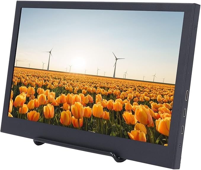 4K Portable Monitor, 11.6 Inch 1920x1080 FHD Laptop Monitor, Ultra Slim Type C Port and Micro HDMI Computer Gaming Display, for Computer, PC, Laptop, PS