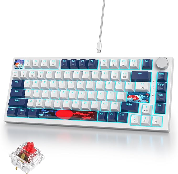75% Mechanical Gaming Keyboard, Hot Swappable RGB Backlit Custom With Knob, Gasket Mount USB Wired, 82 Keys Blue White Linear Red Switch (82 Blue White)